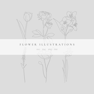 Flower Illustrations Floral Drawings Aesthetic Art Instant Etsy flower illustrations floral drawings