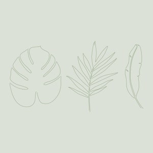 May include: Line drawing of three tropical leaves in green on a light green background. The leaves are a monstera leaf, a palm frond, and a banana leaf.