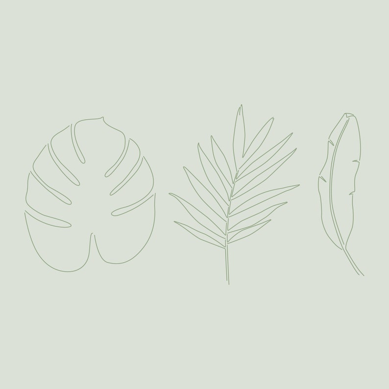May include: Line drawing of three tropical leaves in green on a light green background. The leaves are a monstera leaf, a palm frond, and a banana leaf.