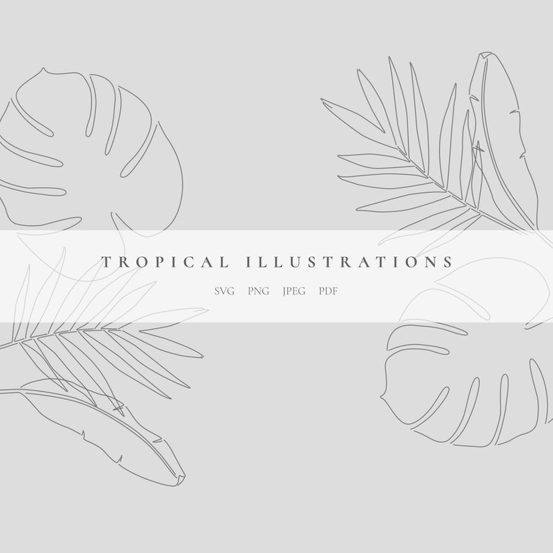 May include: Line art illustration of tropical leaves in black and white. The text "TROPICAL ILLUSTRATIONS" is centered at the top of the image. Below the text are the words "SVG PNG JPEG PDF".
