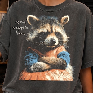 Halloween Raccoon PNG, Restin Pumpkin Face Design, Funny Cute Animal Clipart, Vintage Halftone Fall Shirt Png, Digital Download