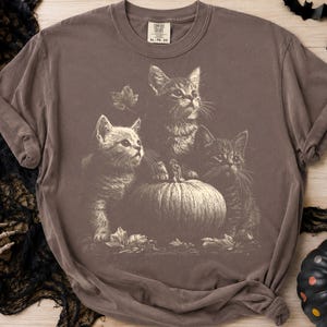 May include: A brown short-sleeve t-shirt featuring a graphic print of three kittens sitting around a pumpkin with fallen leaves. The shirt has a crew neckline and a Comfort Colors brand label printed on the inside of the collar area.