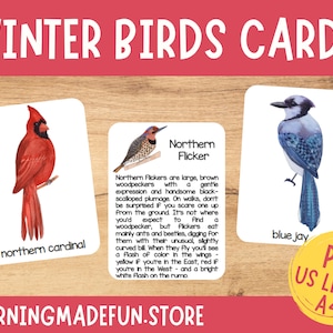 Cartes d'identification d'oiseaux d'hiver, cartes en trois parties d'oiseaux, cartes de nomenclature Montessori, matériel éducatif, école à la maison d'étude de la nature