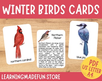 Tarjetas de identificación de aves invernales: Educación Montessori en casa (Descarga digital)