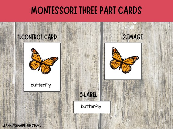 Butterfly Life Cycle Montessori Cards: Three Part Flashcards (PDF) - Etsy Norway Butterfly Life Cycle Montessori Cards: Three Part Flashcards (PDF) - Etsy Norway