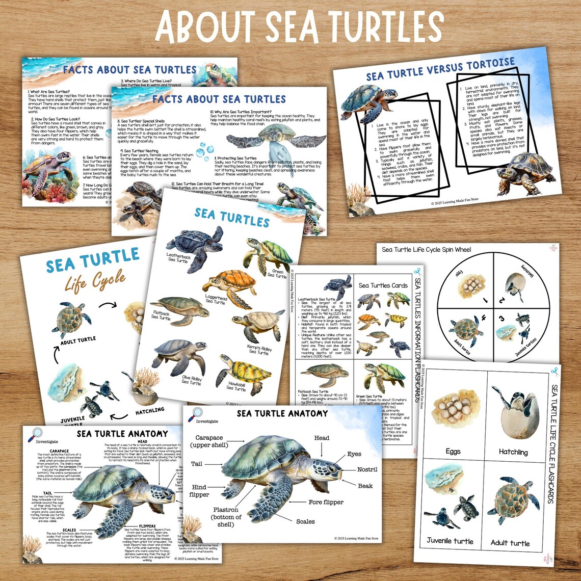 Sea Turtle Unit Study | Life Cycle, Anatomy, Math & Literacy (digital ...