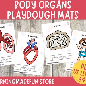 Body Organs Play Dough Mats, Anatomy Play Doh Activity, Preschool Task Card, Toddler Activities, Fine Motor Skills, Preschool Pre-K Learning