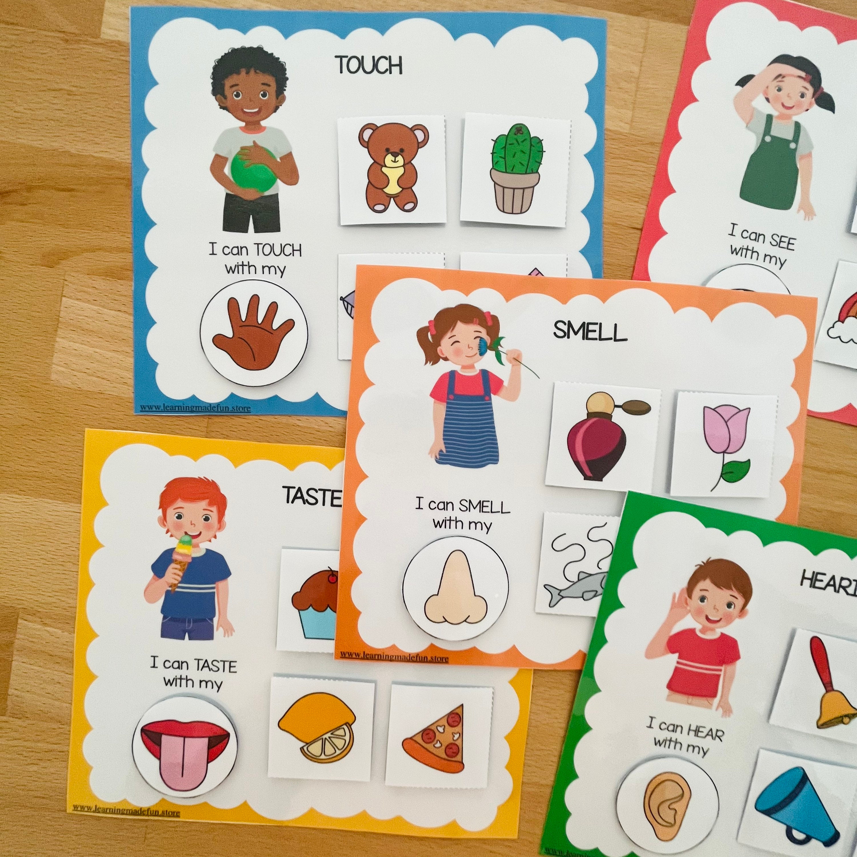 Five Senses Sorting Activity: Preschool Learning Resource (digital