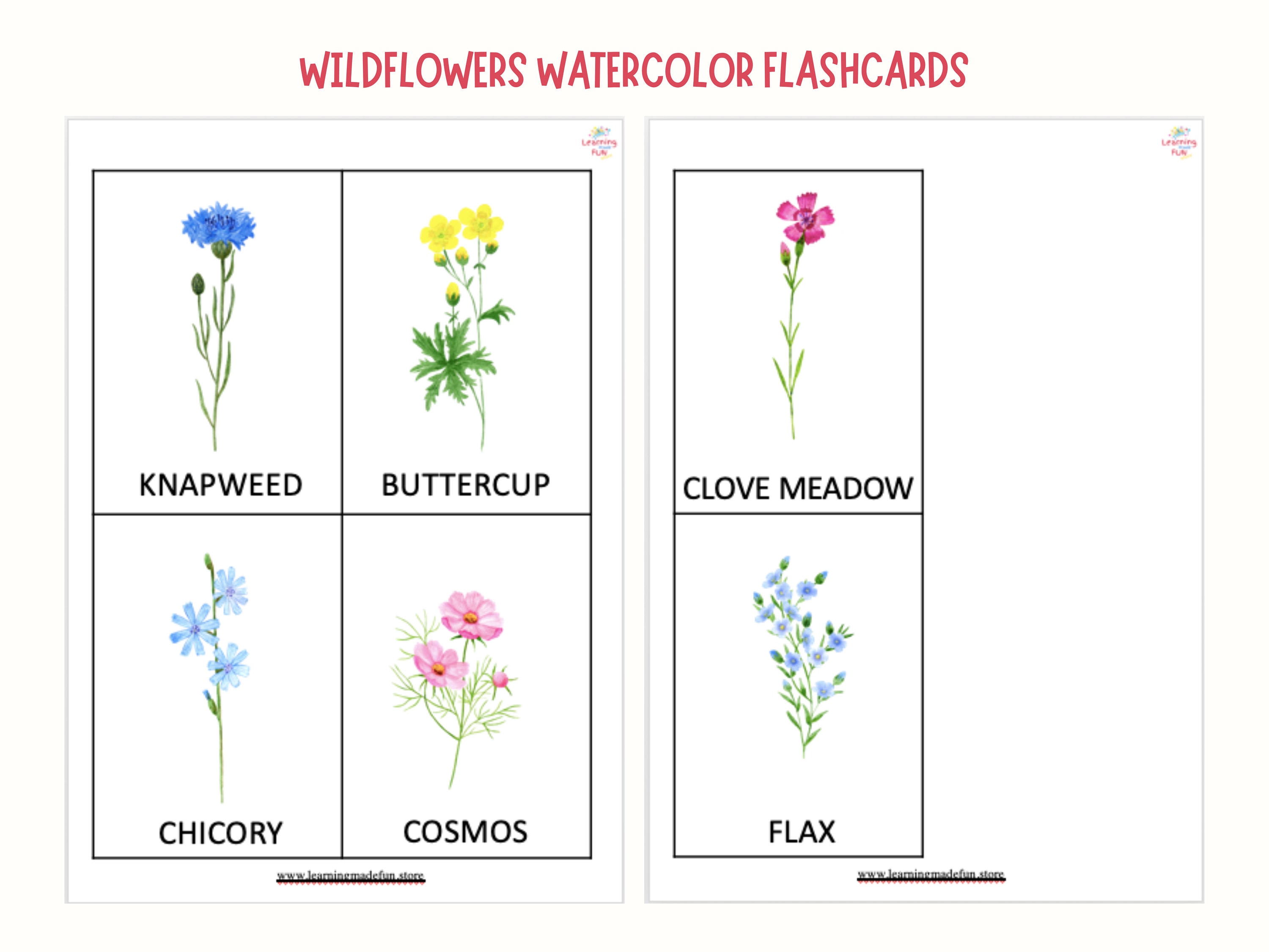 Wildflowers Matching Game Shadow Matching Activity Summer Etsy