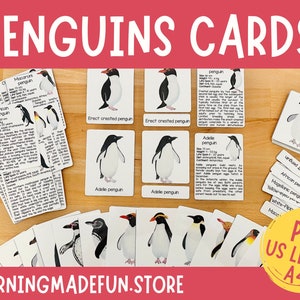 Pinguïns identificatiekaarten, pinguïns driedelige kaarten, Montessori nomenclatuurkaarten, educatief materiaal, natuurstudie Homeschool, Prek