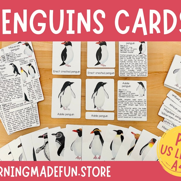 Penguins Identification Cards, Penguins Three Part Cards, Montessori Nomenclature Cards, Educational Material, Nature Study Homeschool, Prek