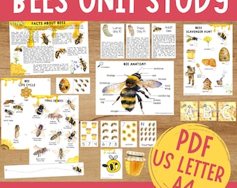 Bees Unit Study, Honey Bee Printable, Homeschool Learning (PDF)