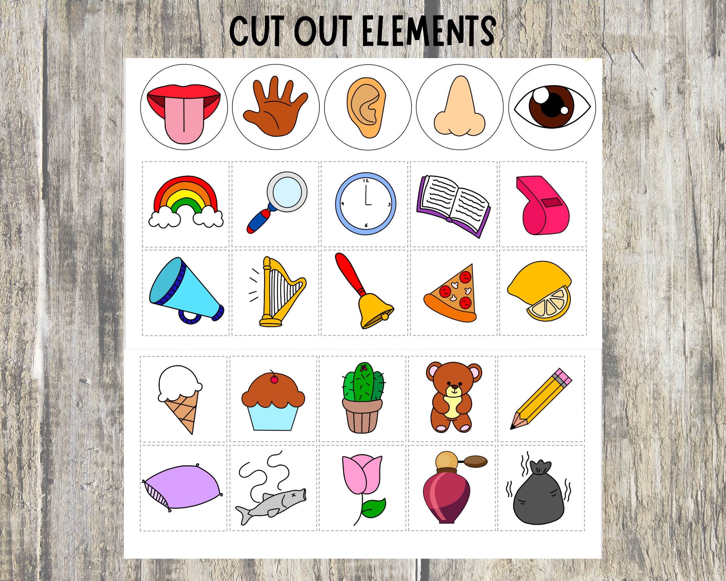 Five Senses Sorting Activity Printable 5 Senses Matching - Etsy Australia