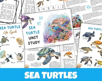 Sea Turtle Unit Study | Life Cycle, Anatomy, Math & Literacy (Digital Download)