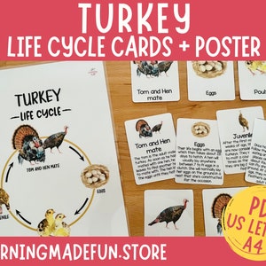 Turkije levenscyclus Montessorikaarten, Turkije FlashCards, driedelige kaarten, nomenclatuurkaart, educatief materiaal, afdrukbare flashcards