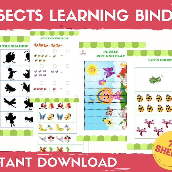 INSECTS WORKSHEETS, Learning Binder, Preschool worksheets for 3 years old, Busy Binder Printable, Homeschool Learning, Games for toddlers