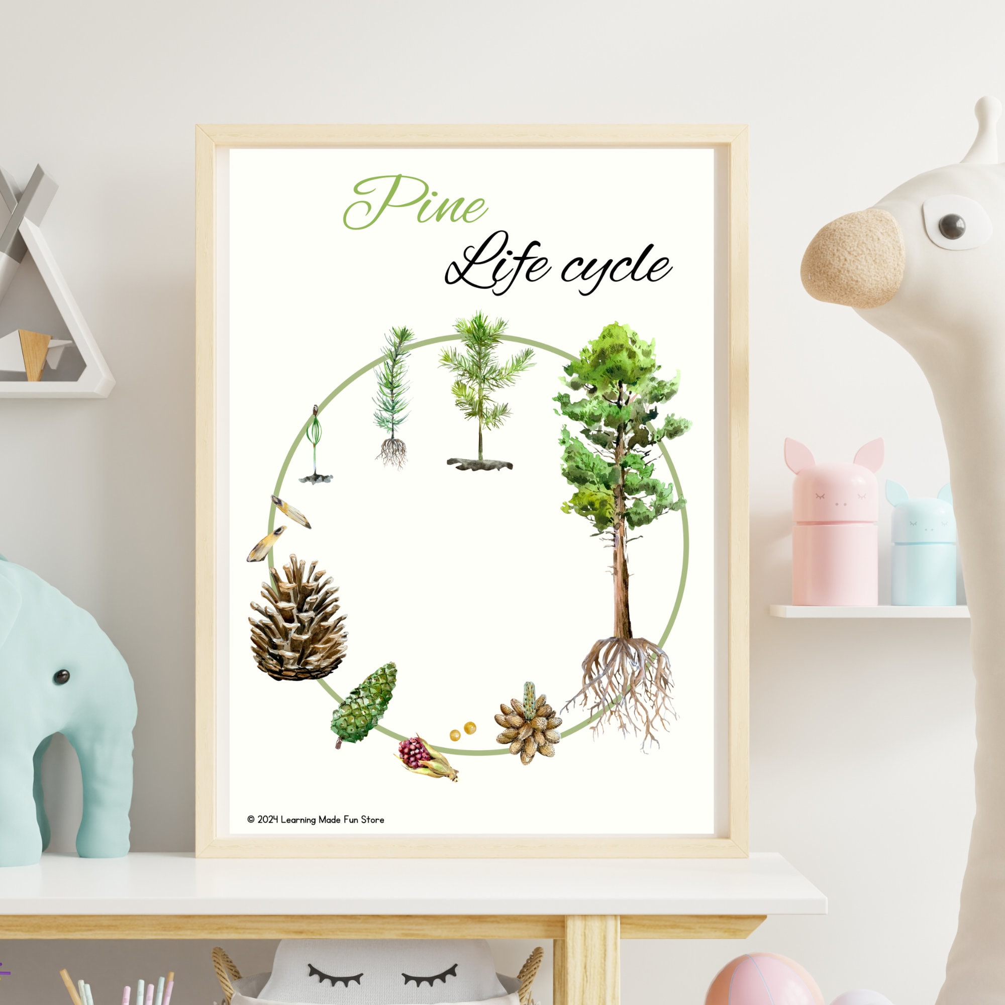 Life Cycle Educational Posters, Homeschool Learning (PDF) - Etsy