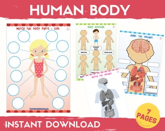 Human Body Parts Matching Game: Preschool Learning Binder (Digital Download)