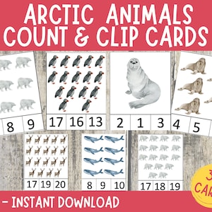 Arctic Animals Count Cards, Numbers 1-20 Count Activity, Montessori Learning, Preschool Math Center, Counting Activity Cards, Learn to count