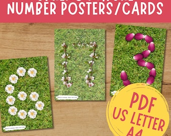 Spring Nature Number Posters 1-20: Homeschool Math (Digital Download)