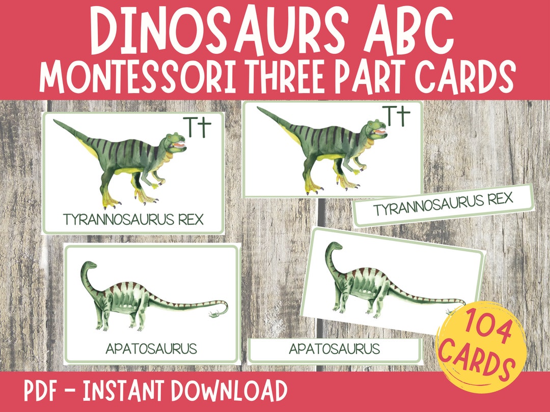 Dinosaurs Montessori Cards, Alphabet Flash Cards, Three Part Cards ...