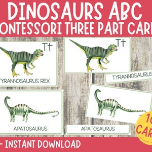 Dinosaurs Montessori Cards, Alphabet Flash Cards, Three Part Cards, Nomenclature Cards, Educational Material, Printable Flashcards, ABC Card