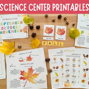 Fall Unit Study, Autumn Themed Printable, Fall Activity, Nature Studies ...