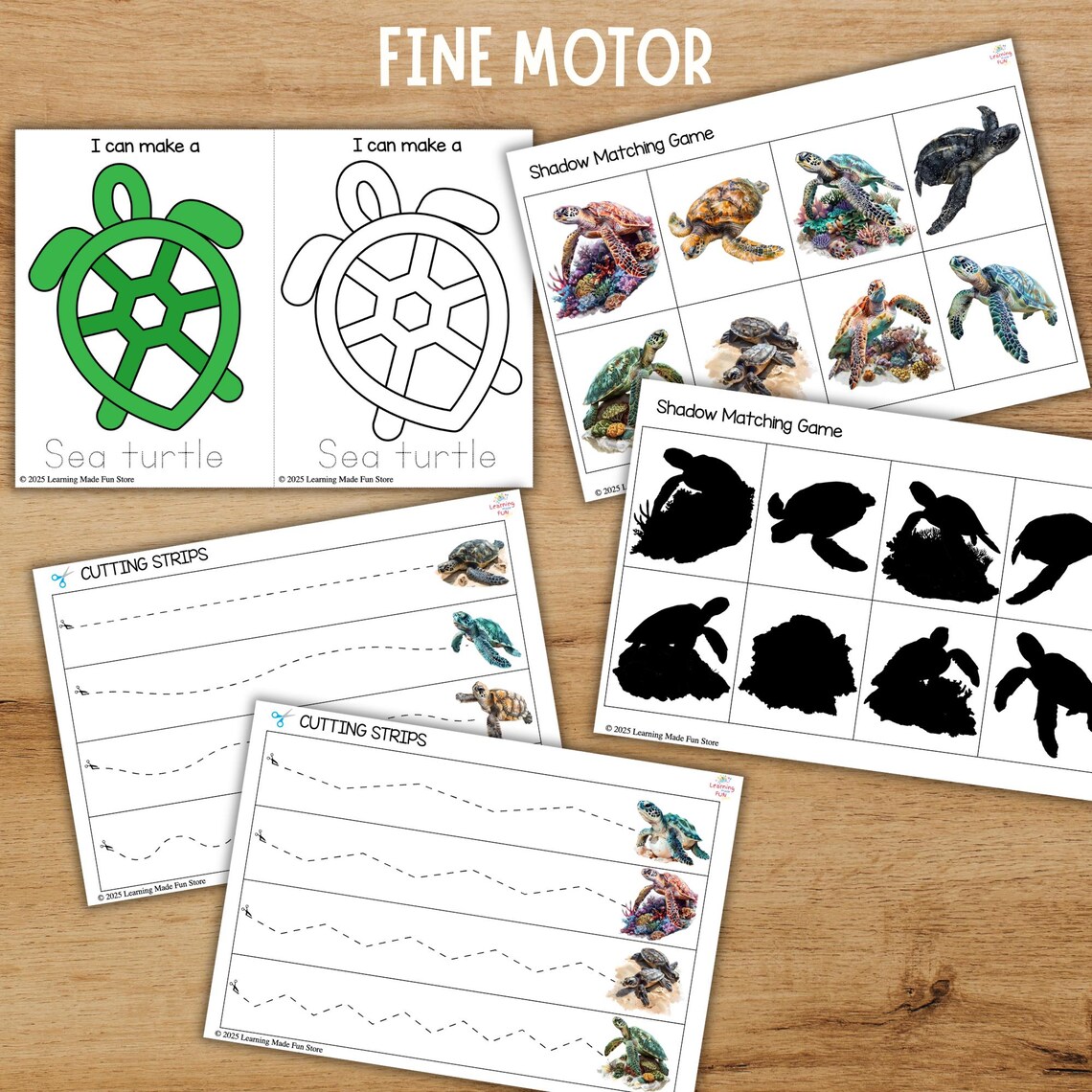 Sea Turtle Unit Study | Life Cycle, Anatomy, Math & Literacy (digital ...