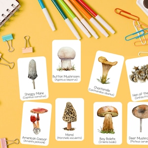 Mushrooms Flashcards, Three Part Cards, Montessori Nomenclature Cards