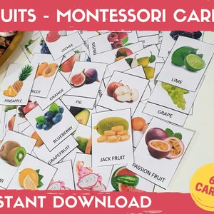 Real Fruits Flash Cards, Montessori Flashcards for Toddlers, Three-Part Cards, Montessori materials, Montessori printable, Fruits cards