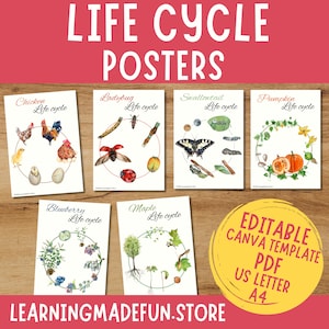 Carteles del ciclo de vida, carteles educativos, aprendizaje en el hogar, tablón de anuncios, cartel de aprendizaje educativo, decoración del aula, jardín de infantes