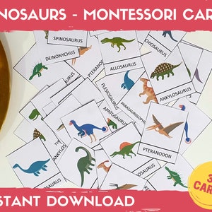 Dinosaur Montessori Flashcards for Toddlers, Three-Part Cards, Montessori materials, Montessori printable cards, Dinosaur Flash cards