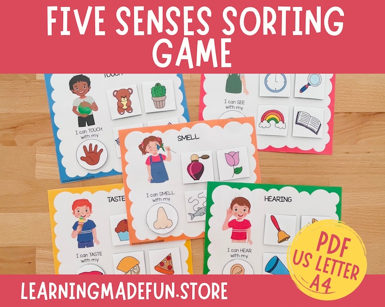 Five Senses Sorting Activity: Preschool Learning Resource (digital ...