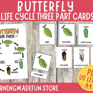 Schmetterling Lebenszyklus Montessori Karten, Schmetterling Lernkarten, dreiteilige Karten, Nomenklaturkarte, Lernmaterial, druckbare Lernkarten
