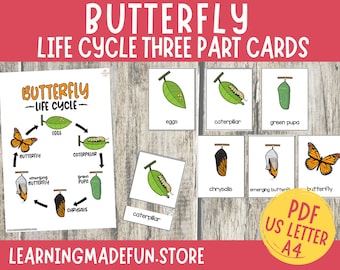 Tarjetas Montessori del ciclo de vida de las mariposas: Tarjetas didácticas de tres partes (PDF)