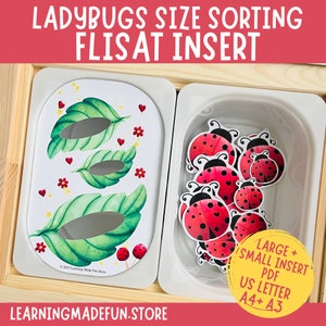 Coccinelles Trier par taille, Insert Flisat, Insert Trofast, Flisat imprimable, Jeu de simulation préscolaire, Jeu dramatique pour tout-petits, Table sensorielle d’insectes