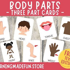Tarjetas didácticas de partes del cuerpo, tarjetas didácticas preescolares, tarjetas de 3 partes, cuerpo humano, tarjetas de nomenclatura, anatomía humana, tarjetas Montessori, educación en el hogar