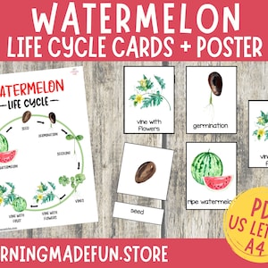 Watermeloen levenscyclus Montessori-kaarten, Preschool FlashCards, driedelige kaarten, nomenclatuurkaart, educatief materiaal, afdrukbare Flashcard