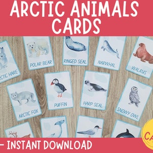 Tarjetas didácticas de animales árticos, tarjetas Montessori, tarjetas de animales polares, tarjetas didácticas imprimibles, tarjetas didácticas preescolares, actividades de aprendizaje, educación en el hogar