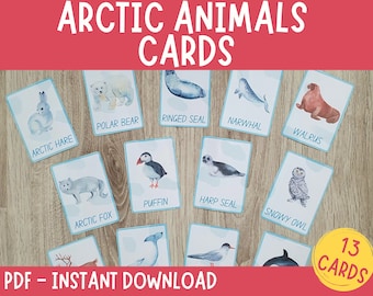 Arctic Animals Flashcards: Montessori Learning Cards (Digital Download)