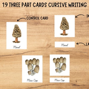 Mushrooms Flashcards Three Part Cards Montessori - Etsy UK