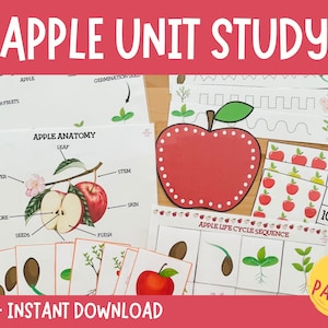 Apple Unit Study, Apple Printable, Fall Activity for kids, Apple Life Cycle, Learning Activities, Apple Preschool Centers, Autumn Busy Book