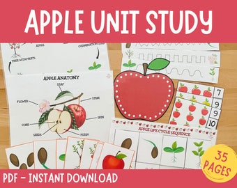 Apple Unit Study, Apple Printable, Fall Activity for kids, Apple Life Cycle, Learning Activities, Apple Preschool Centers, Autumn Busy Book