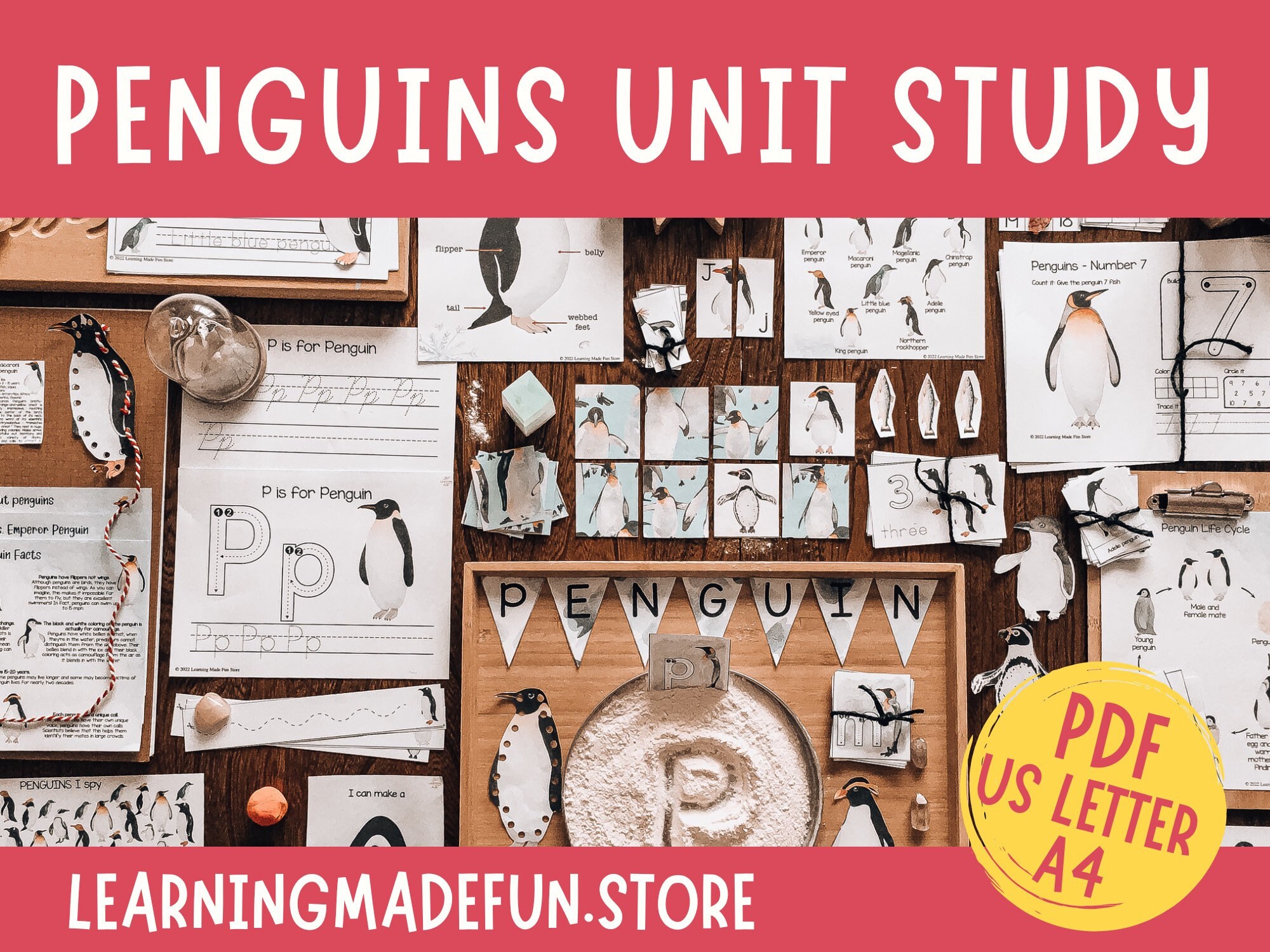 Penguin Unit Study, Homeschool Printable Activities (PDF) - Etsy