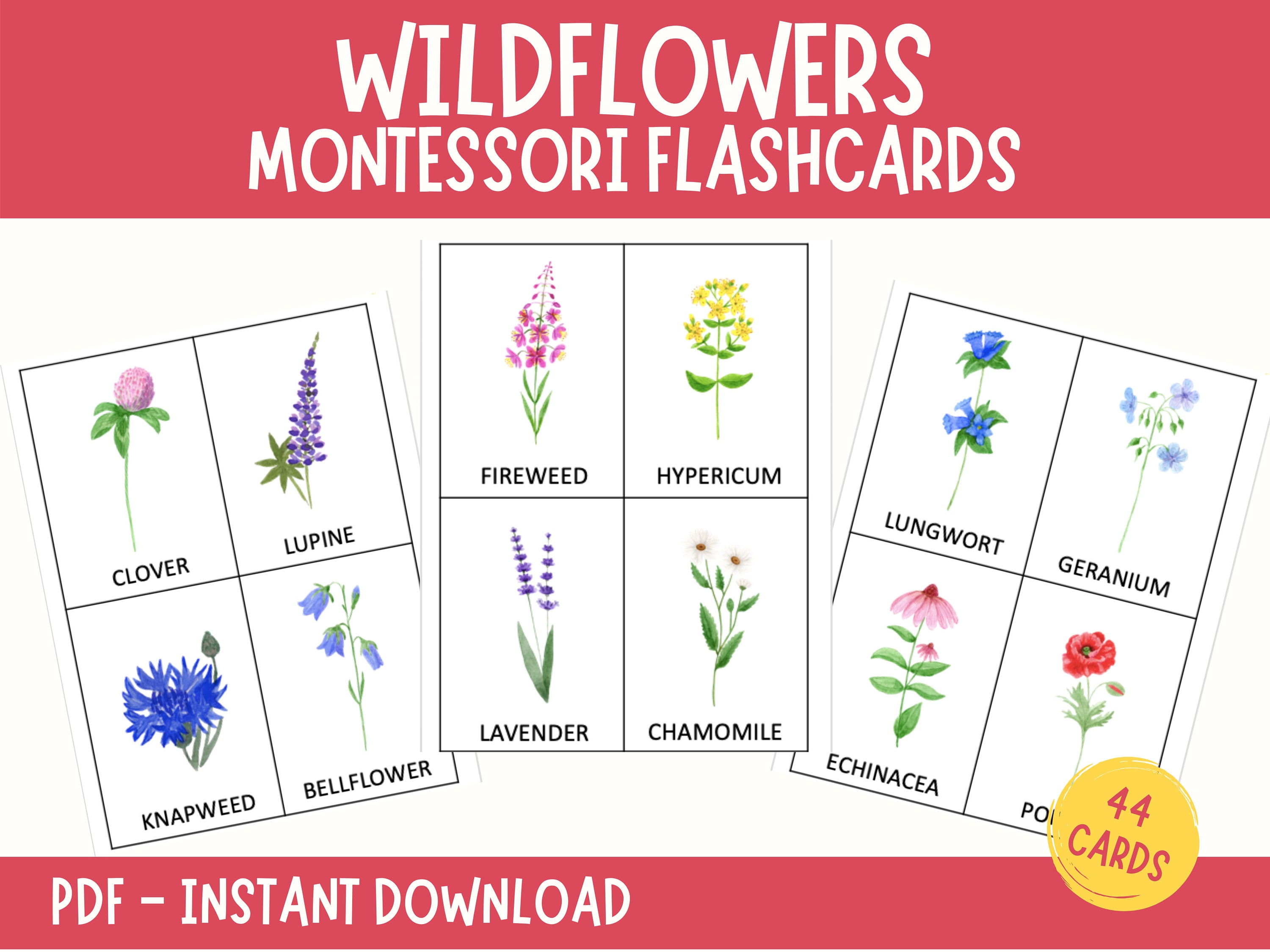 Wildflowers Montessori Cards: Summer Flower Nomenclature (digital Download)  - Etsy, image size:3000x2250