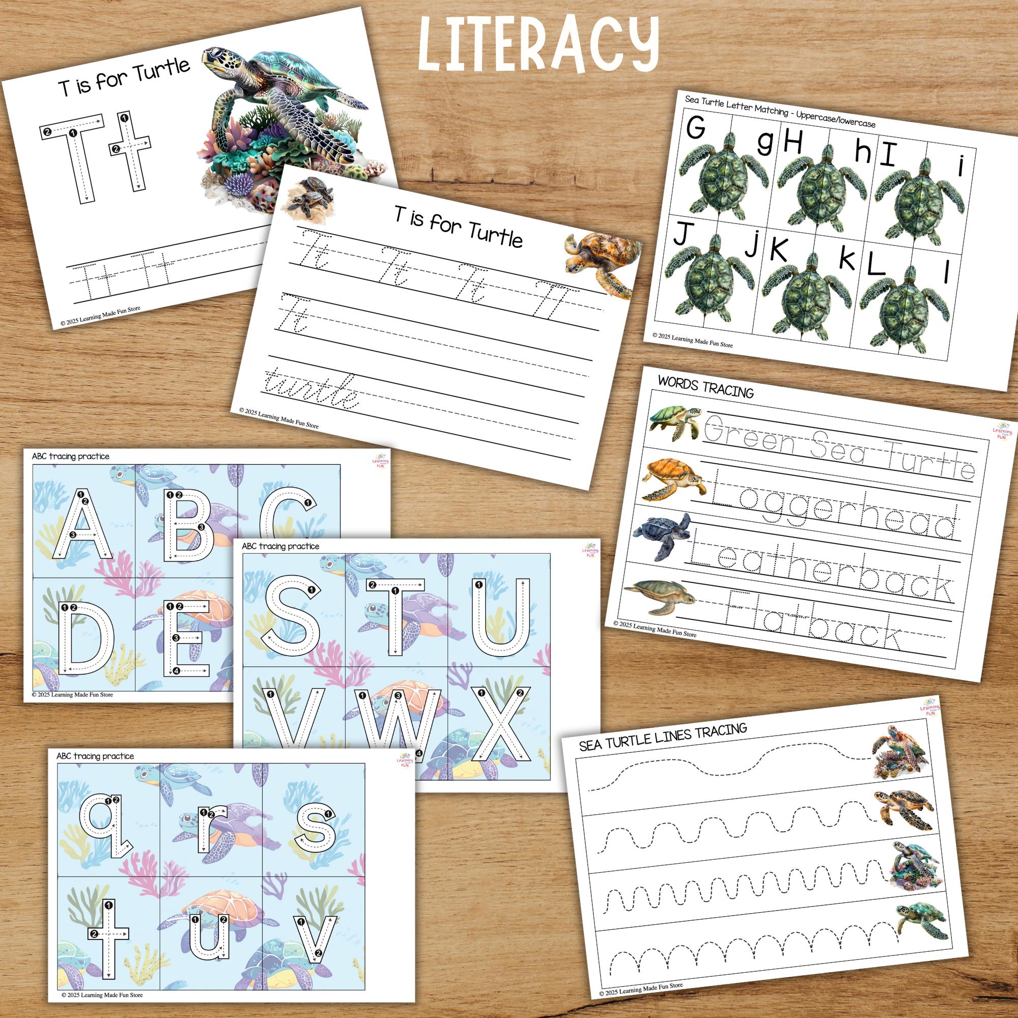 Sea Turtle Unit Study | Life Cycle, Anatomy, Math & Literacy (digital ...