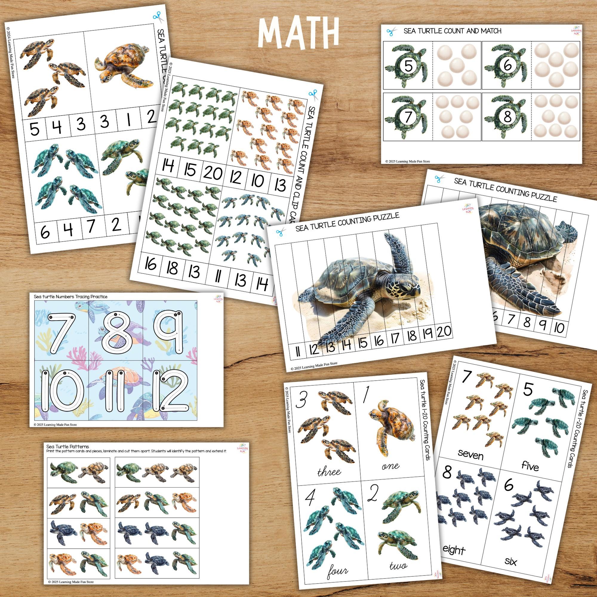 Sea Turtle Unit Study | Life Cycle, Anatomy, Math & Literacy (digital ...