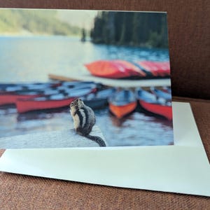 Cartes de correspondance | Cartes photo | Cartes vierges