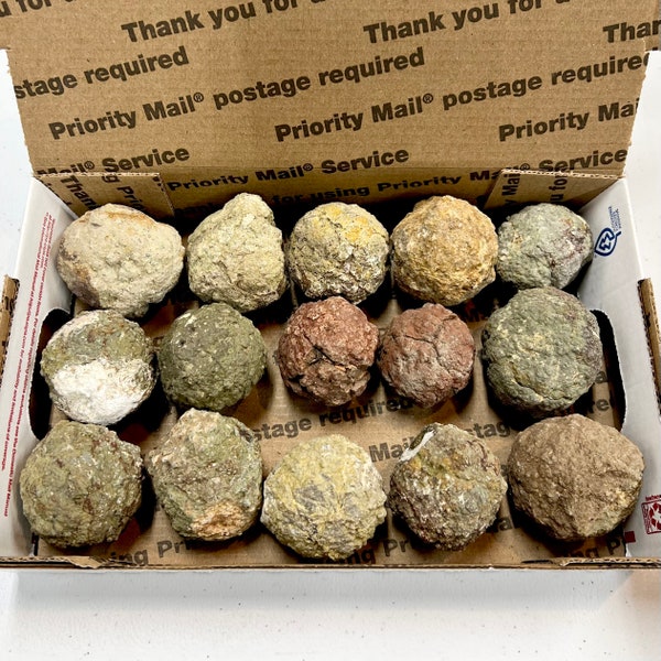 Thundereggs 15 Mighty Meatballs (Vegan!) with FREE Shipping