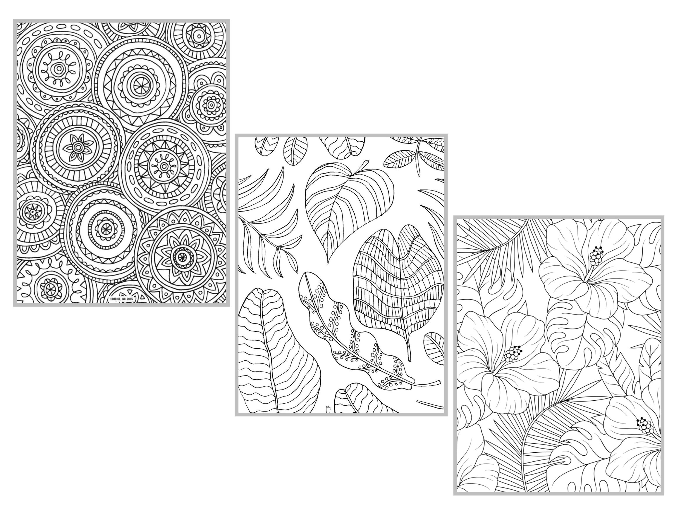 Download Floral Coloring Book For Adults And Kids Pdf Printable Etsy